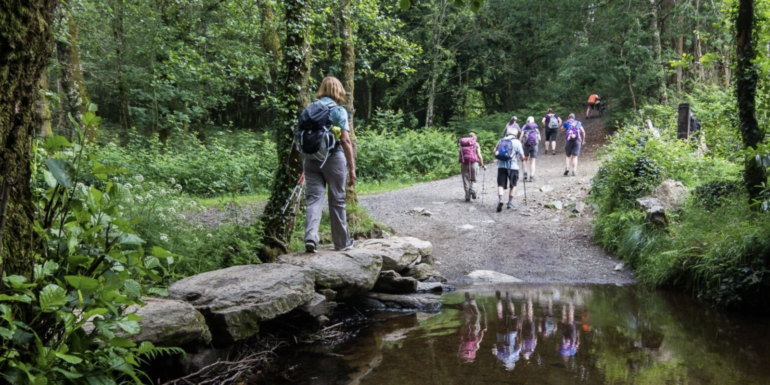 Group of hikers with backpacks walking along a forest trail beside a small stream, reflected in the water