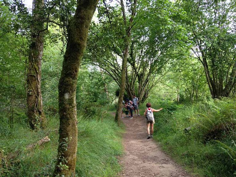 A dirt trail winds through a lush green forest with several hikers walking ahead, including a child with a backpack in the foreground.