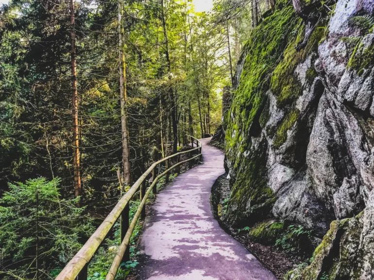 Winding forest path with wooden railing hugging a mossy rock wall, sunlit trees ahead.