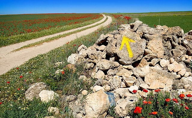 Dirt road curves toward the horizon through a field, with a rock pile bearing a yellow arrow pointing forward.