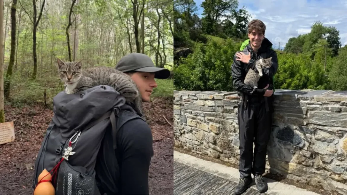 Man in a cap and backpack with a cat perched on his shoulder in a forest trail.