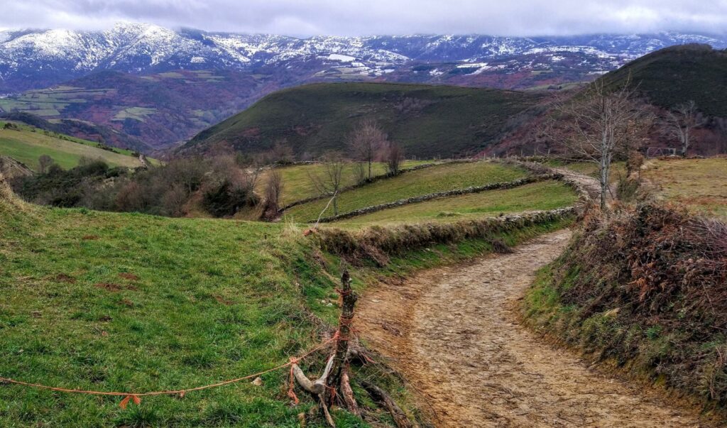 Winding dirt path through green countryside with stone fences and snow-capped mountains in the distance.