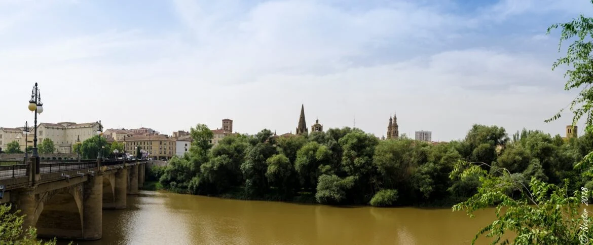 Bridge espanta brown river with historic buildings and green trees along the riverside, cityscape in the background.