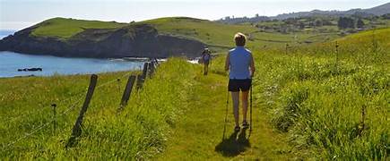 Person hiking along a grassy coastal trail with a walking pole, toward a blue bay and green hills under a sunny sky