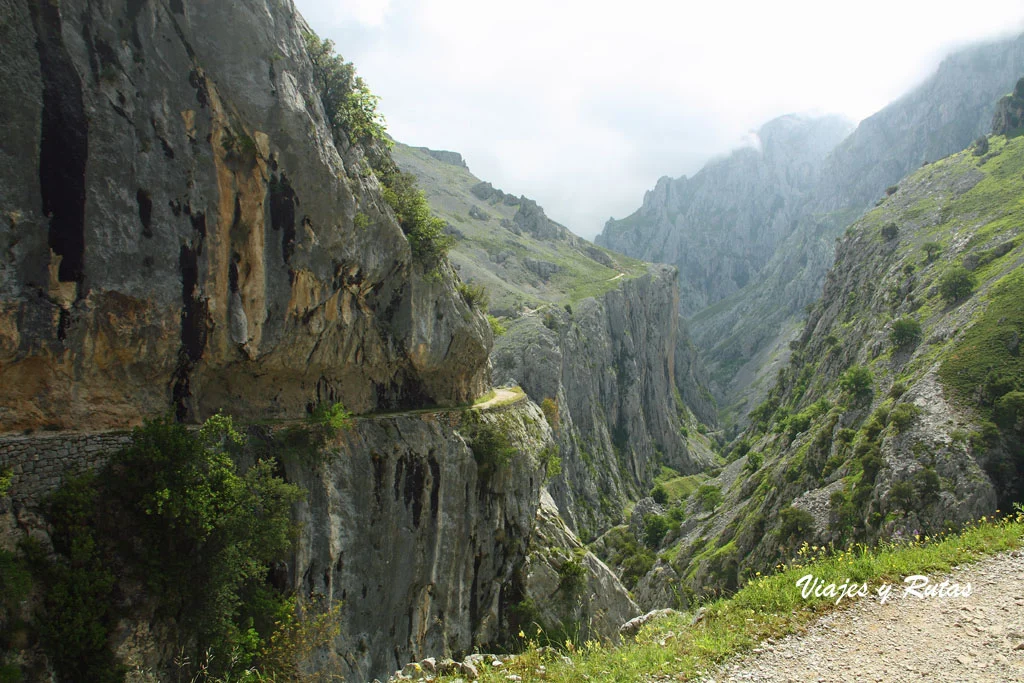 Kurvenreiche Bergstraße entlang steiler Kalksteinfelsen in einer grünen Schlucht mit nebligen Gipfeln in der Ferne.