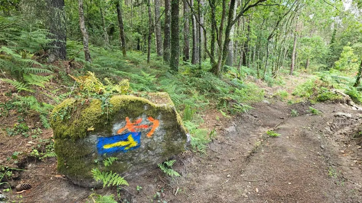 Moss-covered rock along a forest trail with orange arrows and a blue-yellow direction marker painted on it.