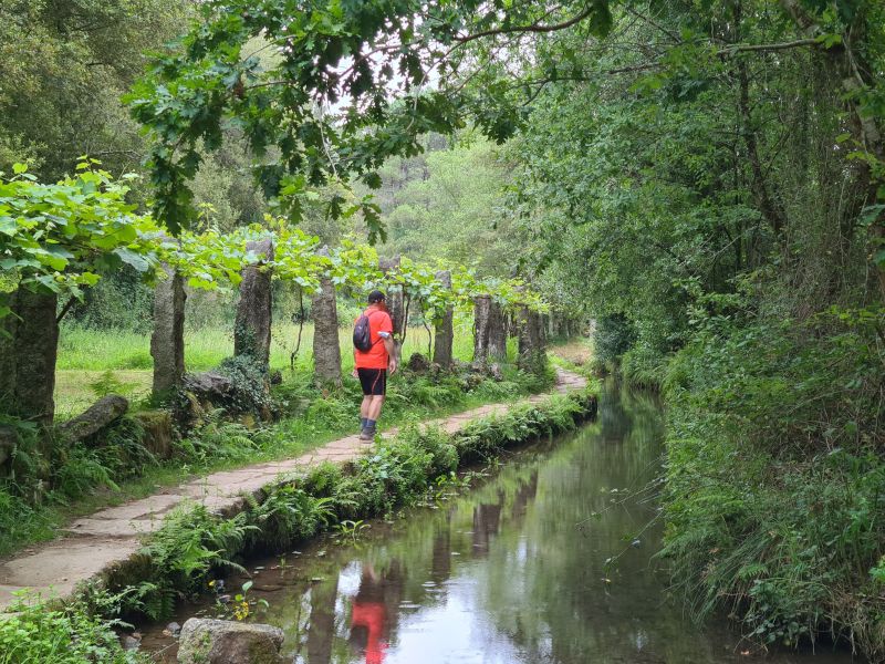 Hiker in a red shirt walks along a narrow canal path bordered by trees.