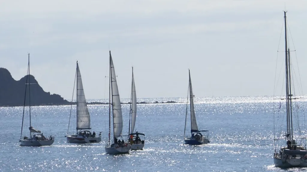Five sailboats with white sails glide on a calm blue sea, a rocky coastline on the left and sunlight glittering on the water.