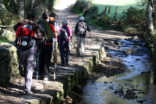 Group of hikers with backpacks walking along a stone path beside a shallow stream in a wooded area.