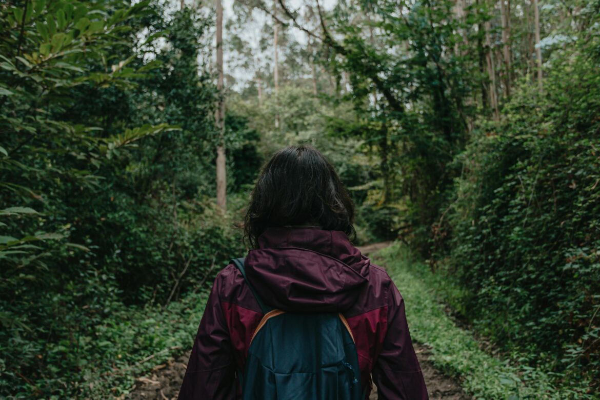Person seen from behind wearing a burgundy jacket and teal backpack, walking down a forest trail surrounded by dense green foliage.
