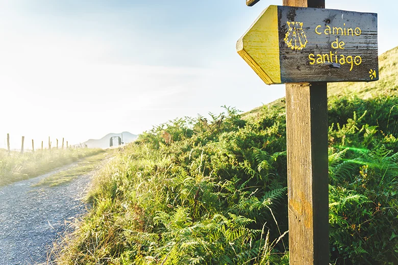 Wooden signpost reading 'camino de santiago' along a grassy trail with a gravel path and distant fence under a bright sky.