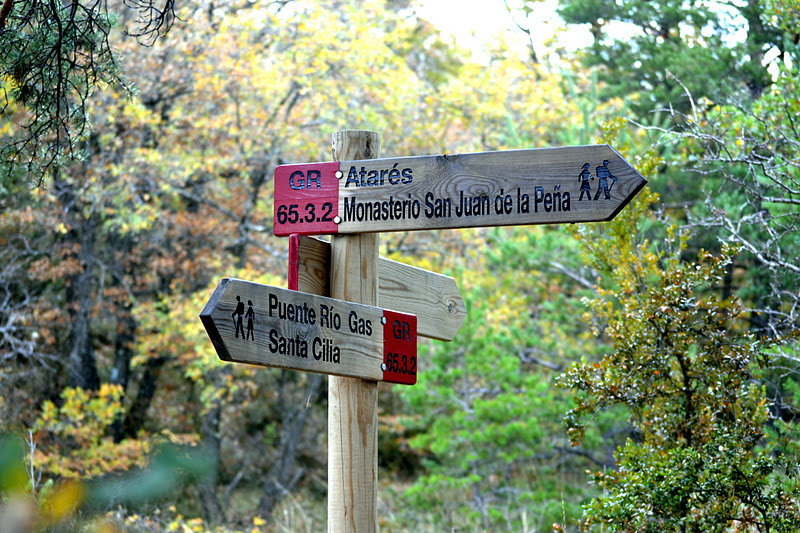 Wooden trail signpost in a forest pointing to Atarés/Monasterio San Juan de la Peña and Puente Río Gas/Santa Cilia with GR markers.
