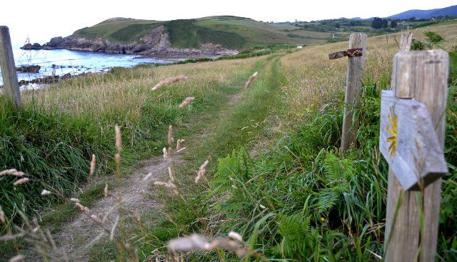 Coastal dirt path through tall grasses toward the rocky shoreline and rolling hills, with wooden fence posts and a weathered sign on the right.
