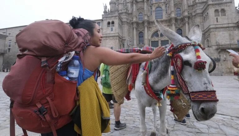 The Camino de Santiago of the last 500 donkeys