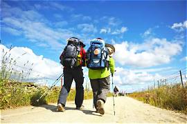 Three hikers with large backpacks walking along a sunny dirt trail, seen from behind.