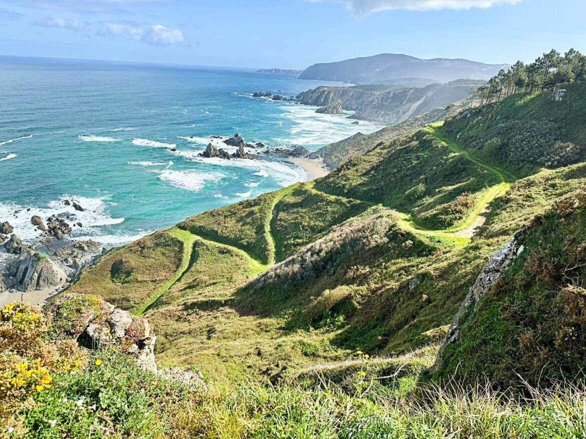 Coastal landscape with green rolling hills, a winding grassy path, and a rocky shoreline along blue ocean waters under a clear sky.