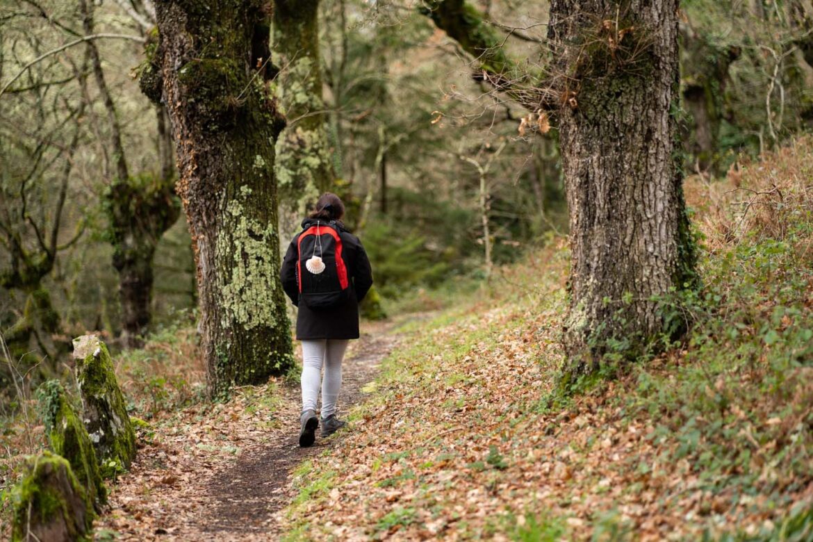 Person with a red-and-black backpack walking along a leaf-strewn forest path (seen from behind)