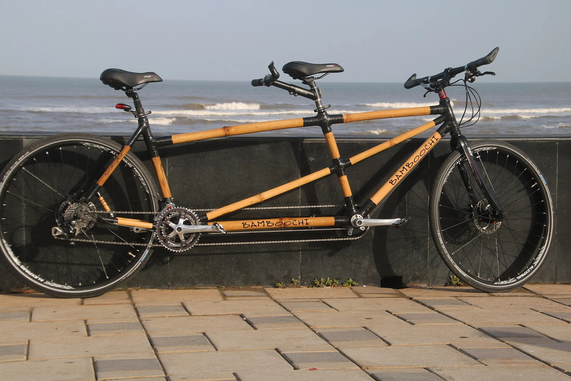 Bicicleta tándem aparcada junto al mar