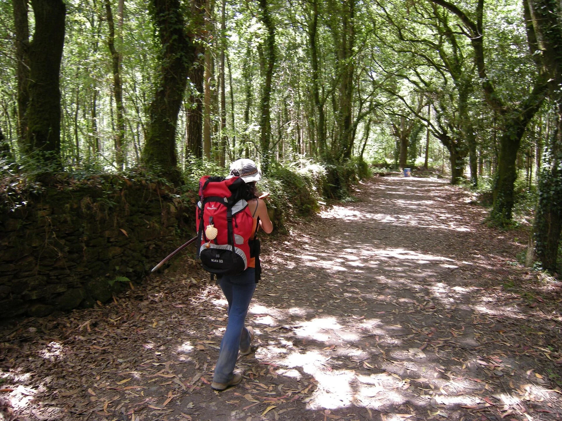 Clean path, green future! the natural environment