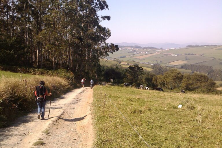 «Cada Camino de Santiago es una experiencia única»
