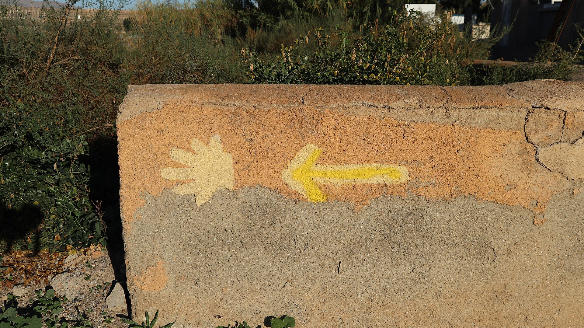 Flèche jaune et coquille indiquant la voie mozarabe
