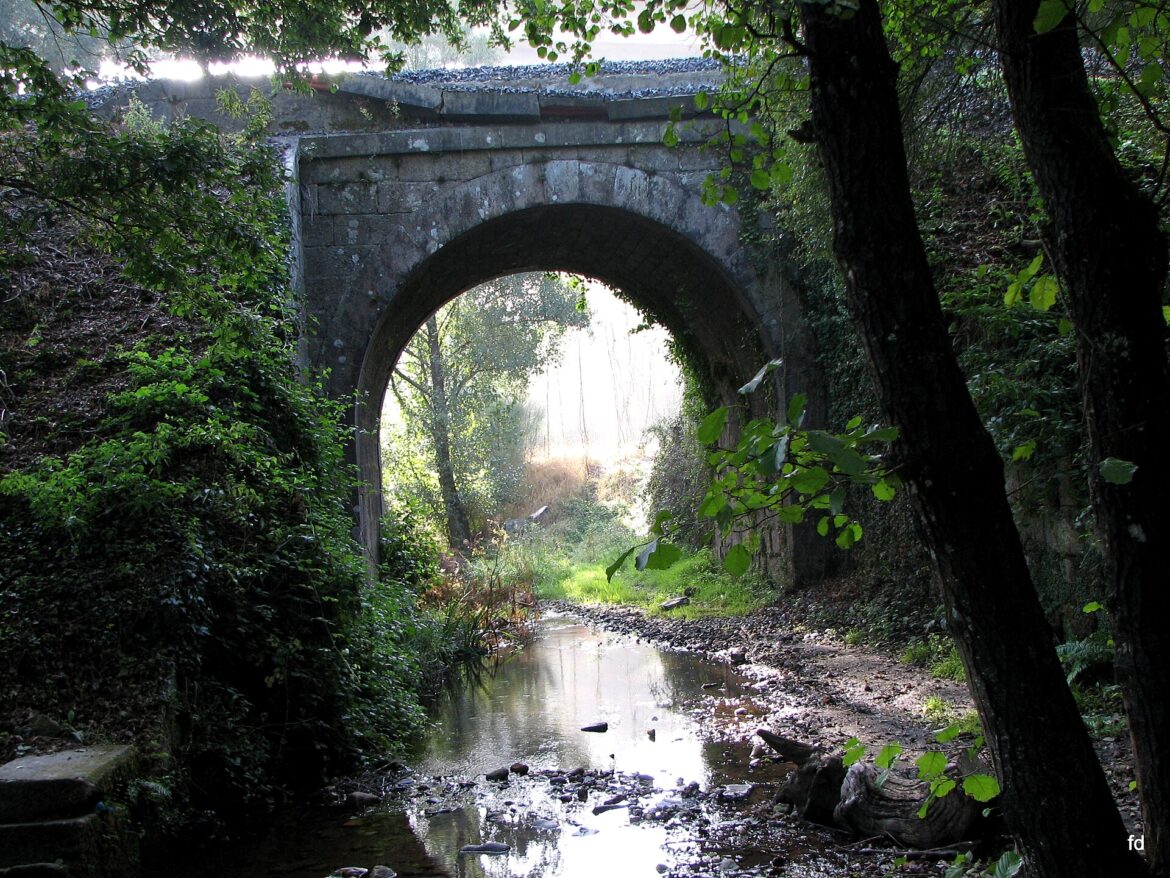 Stone bridge between trees on the French Way, in Sarria