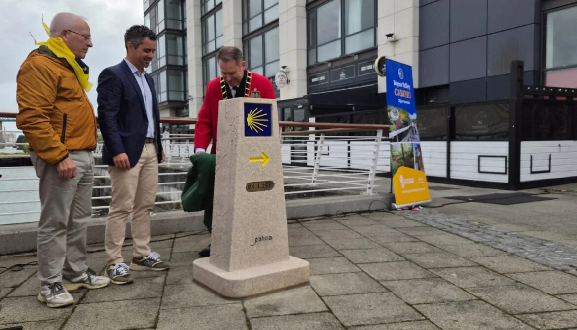 L'Irlanda ottiene il suo primo segnalino Camino
