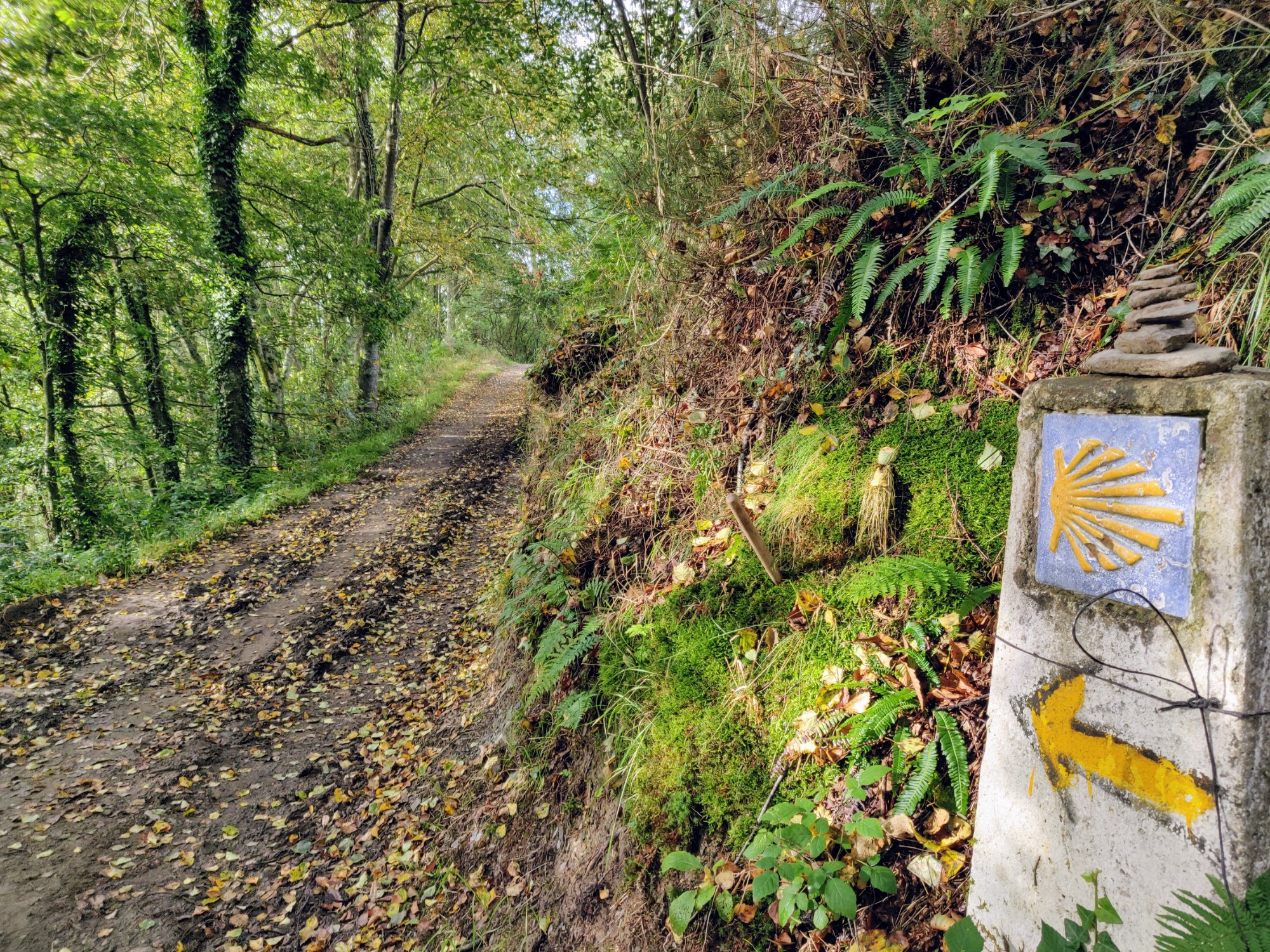 What to Do If You Get Lost on the Camino