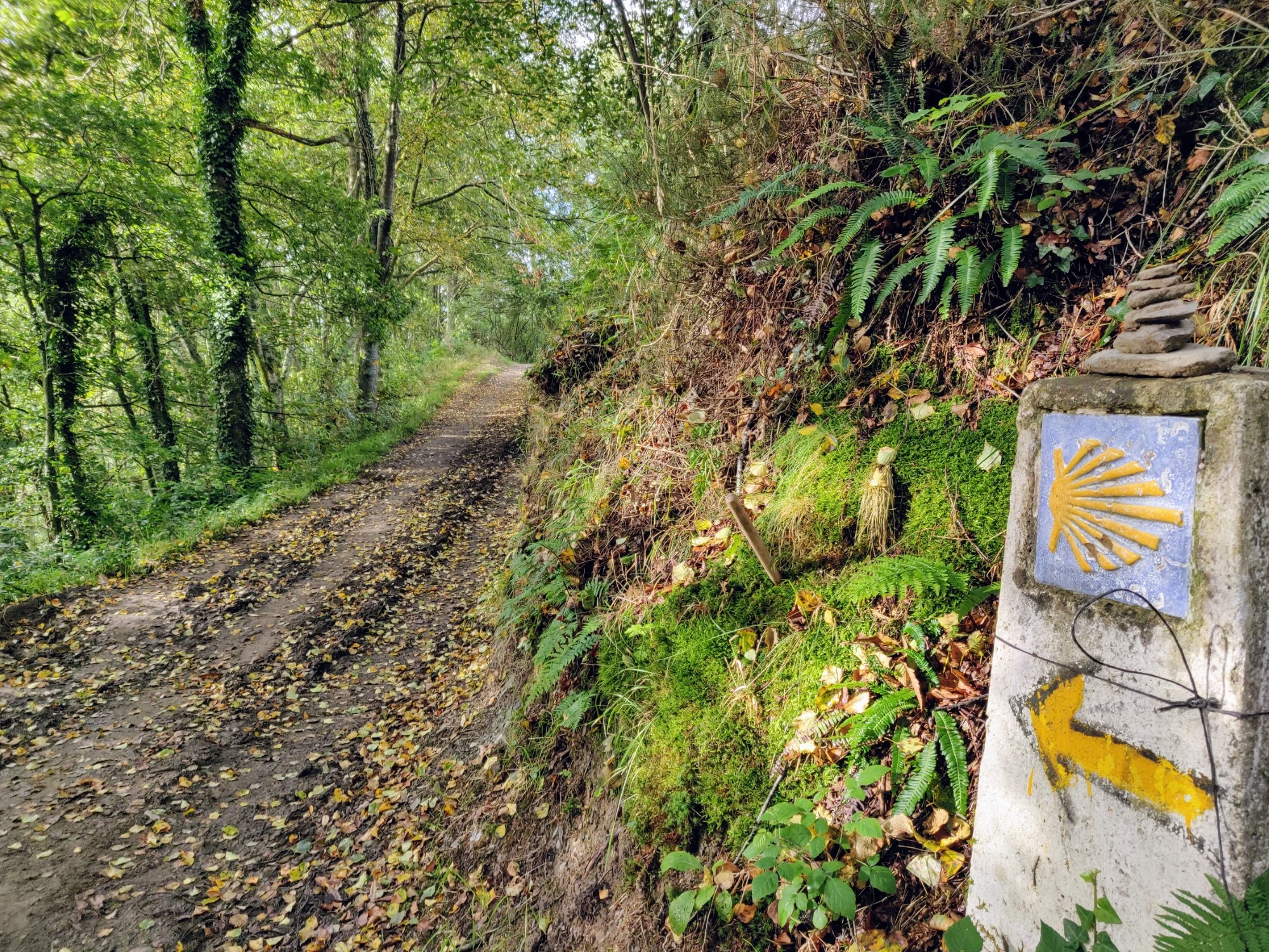 Que faire si vous vous perdez sur le Camino