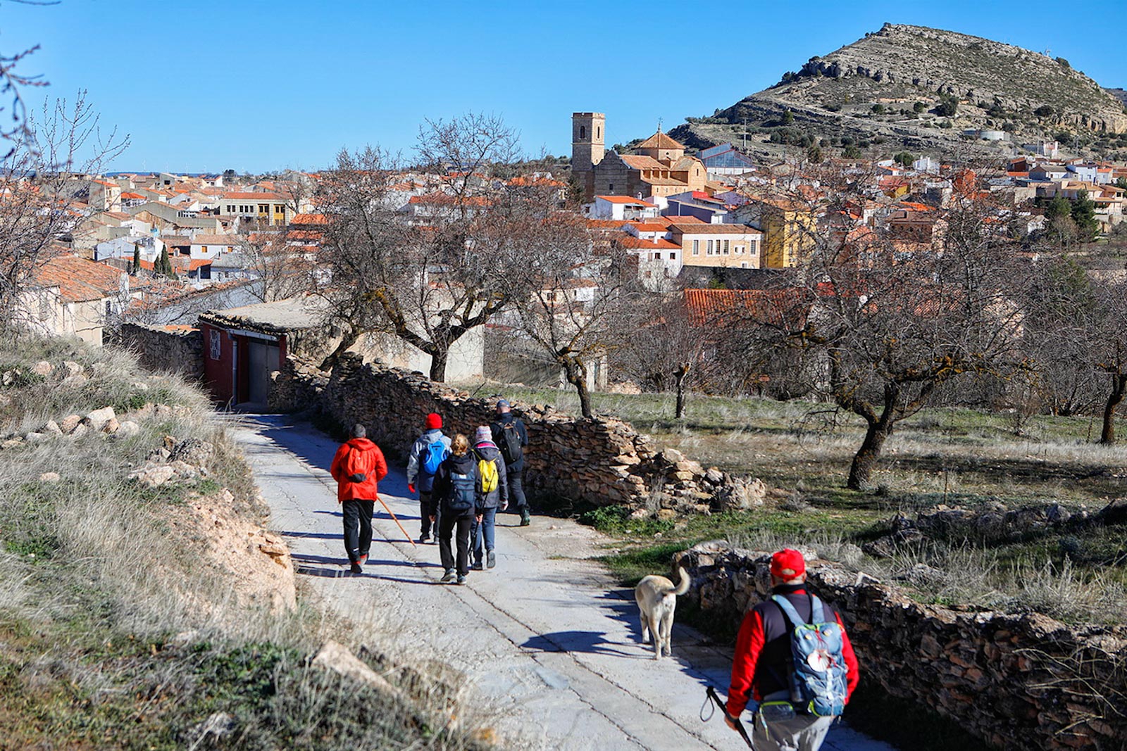 El Camino de la Lana: un Camino que todavía sabe a Camino